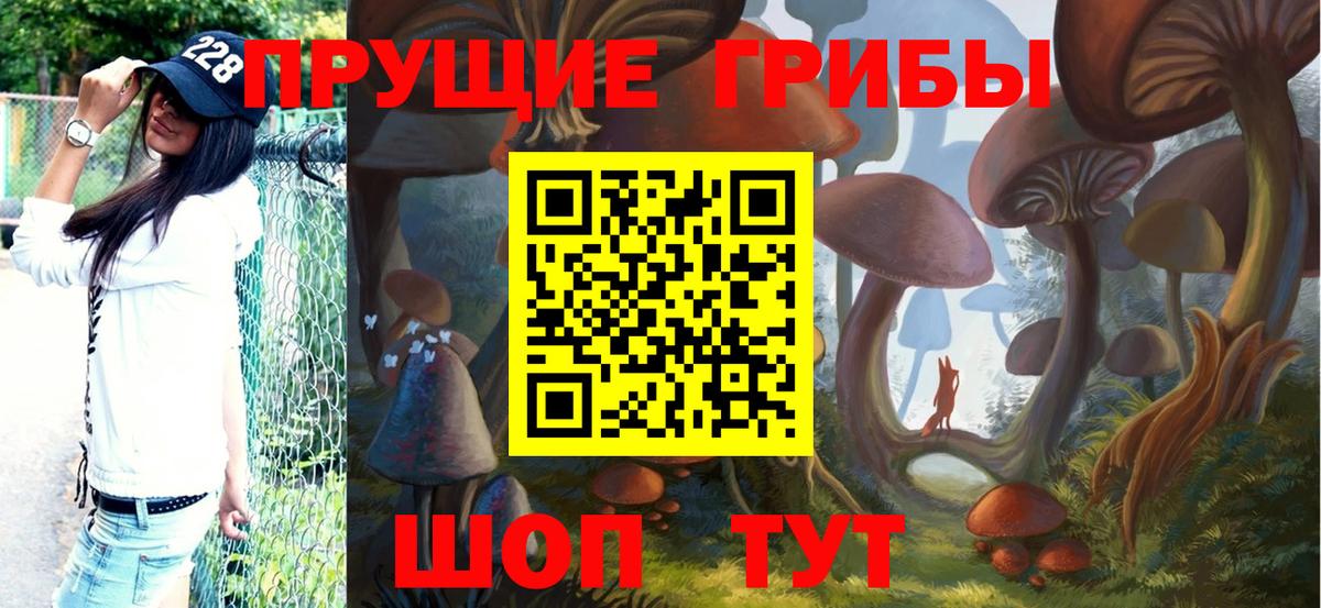 Воскресенск  Псилоцибиновые грибы MAGIC MUSHROOMS  Вход с VPN 